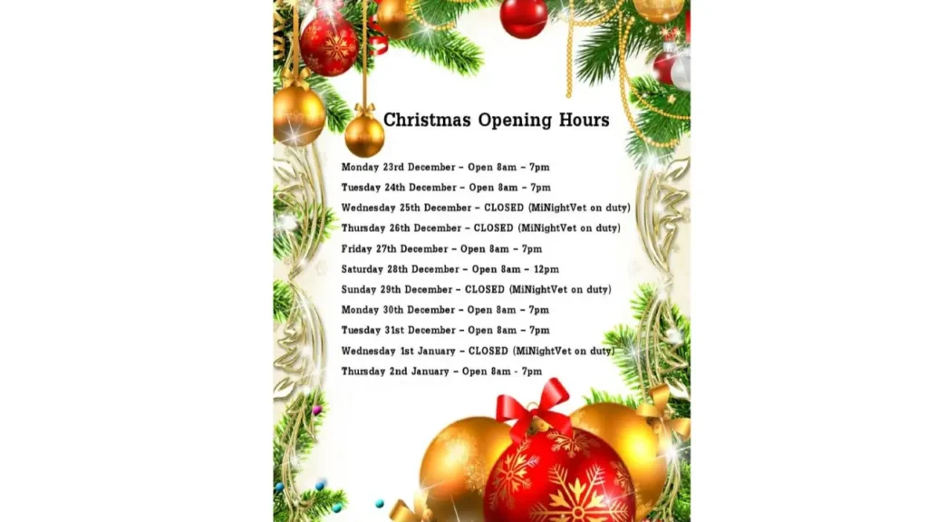 Food For Less Christmas Hours