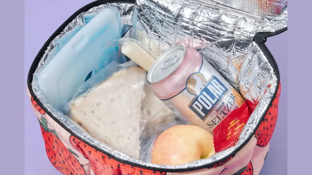 Mejor lunch box that keeps food hot for 10 hours
