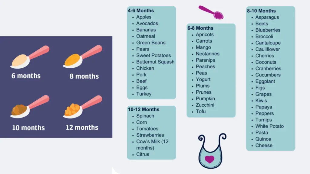 When to Start Baby’s First Solid Food